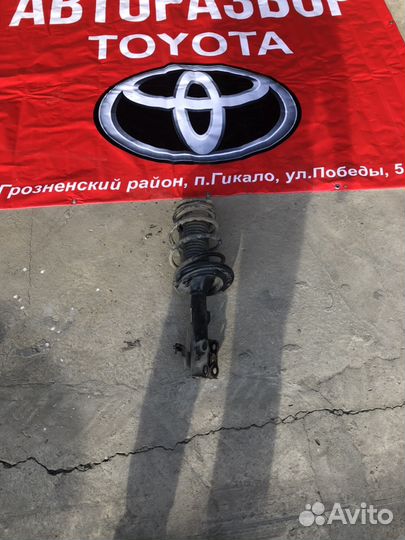 Полный сборе амортизатор Toyota Camry v55