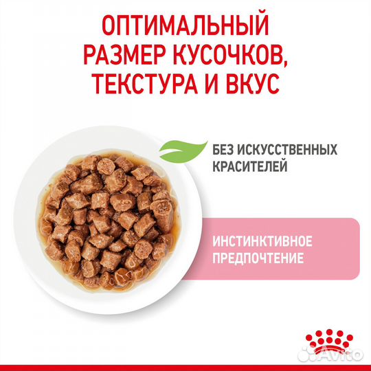 Royal Canin паучи кусочки в соусе для котят 4-12 м
