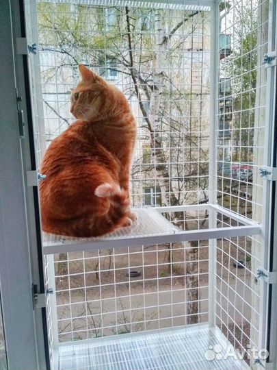 Балкон для кошек