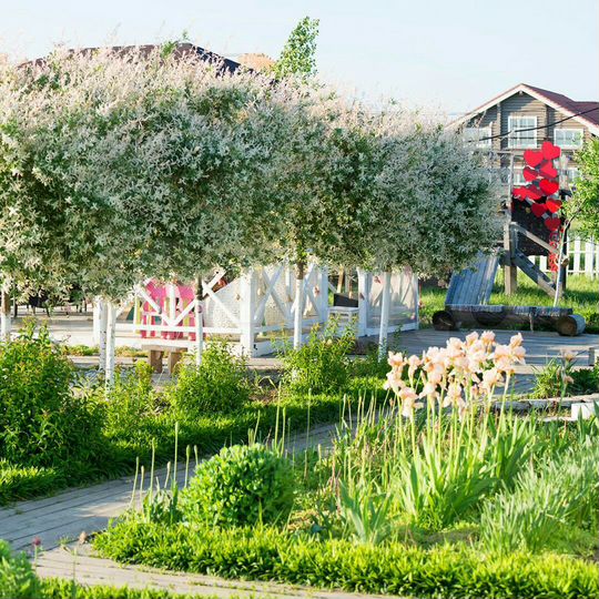 Участок 9 сот. (ИЖС)