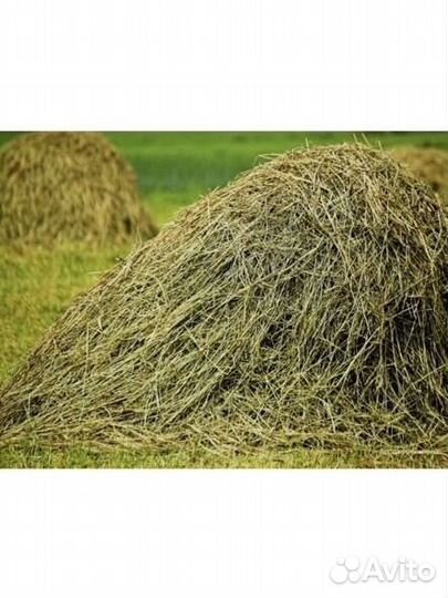 Продам сено для коров, коз, овец