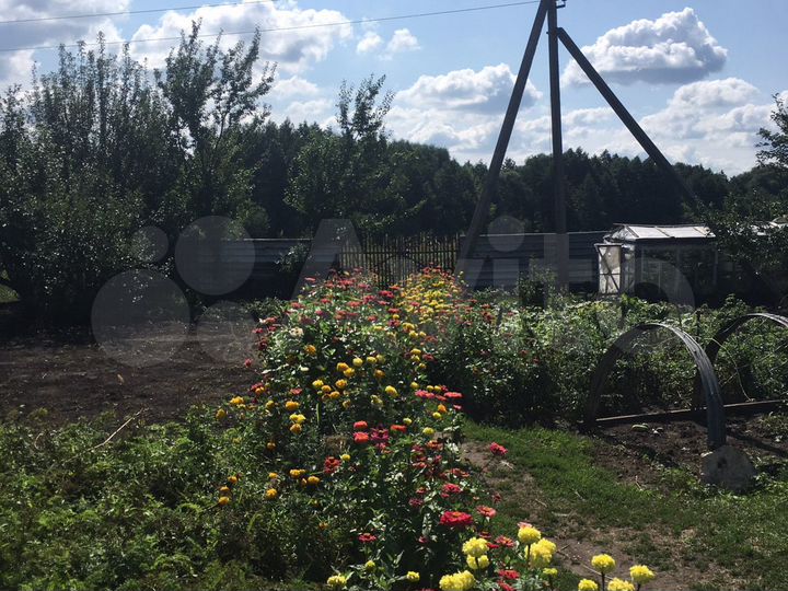 Дом 55 м² на участке 35 сот.