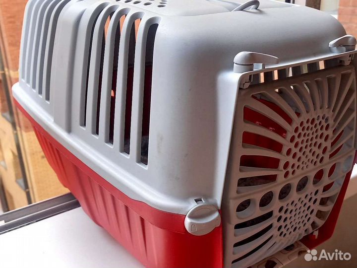 Переноска в аренду