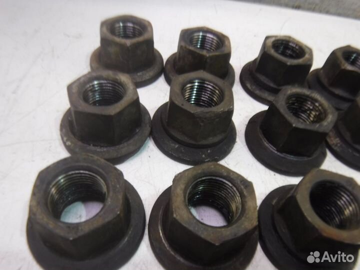 Гайка колеса Iveco Daily IV