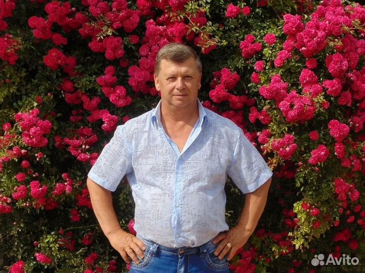 Ремонт Стиральных Машин, Холодильников, Посудомоек