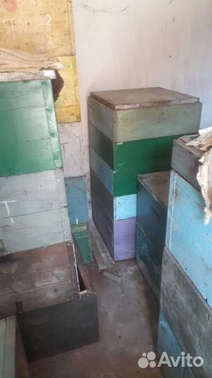 Ульи Дадан с сушью