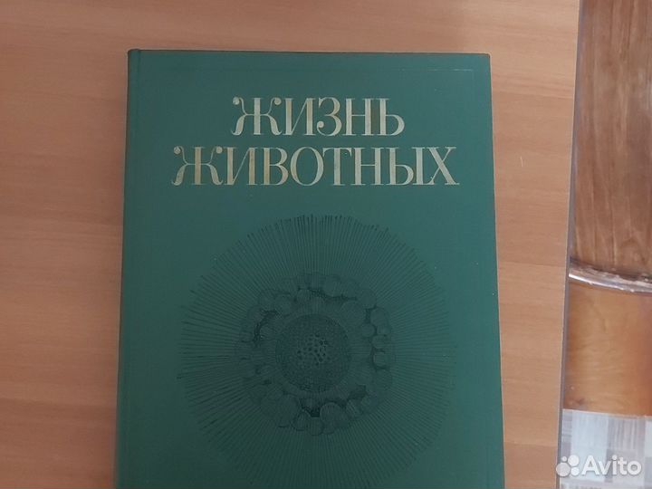 Книга, Жизнь животных, 1 том, простейшие