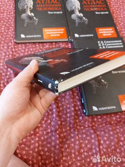 Атлас анатомии человека Синельников в 4 томах