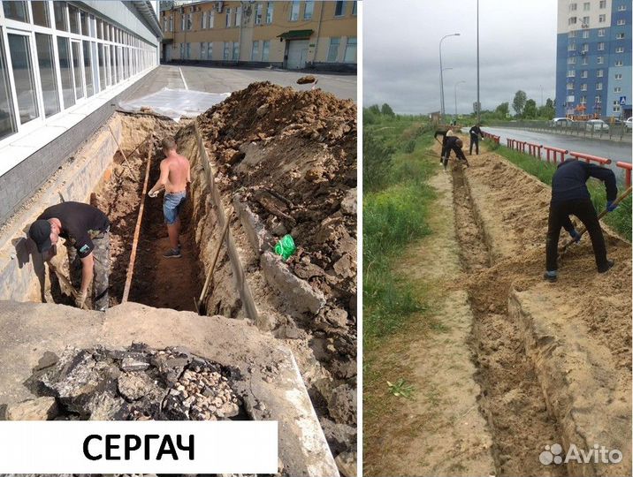 Земляные работы, траншеи, септики, корчевание пней