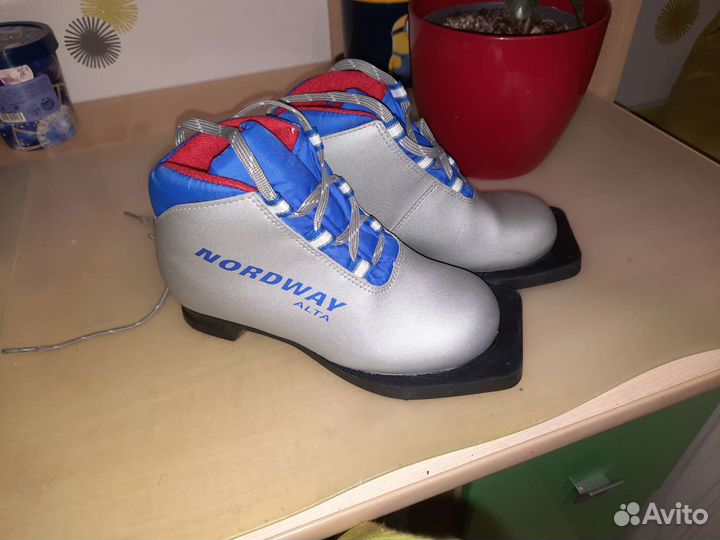 Лыжи беговые fisher