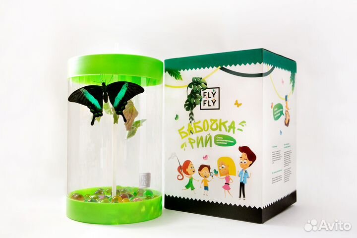 Готовый бизнес - ферма бабочек «Флай-Флай»