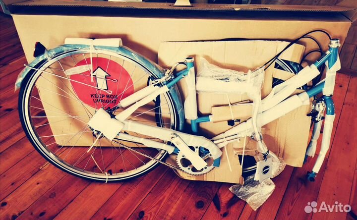 Linus Dutch 3 Marine