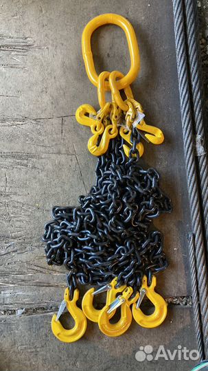 Цепные пауки чалки