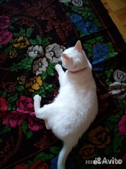 Коврик (Кошма)