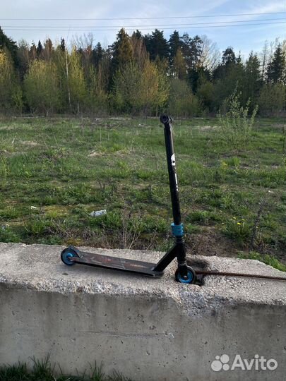 Самокат реакшн