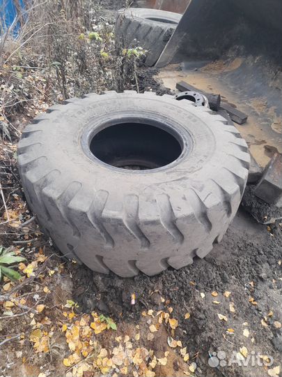 Шины на 5тонный погрузчик ZL50