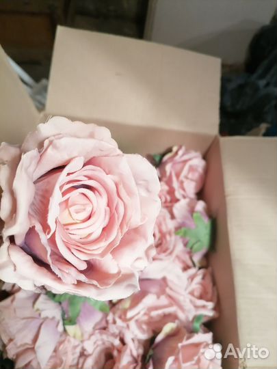 Декоративные цветы