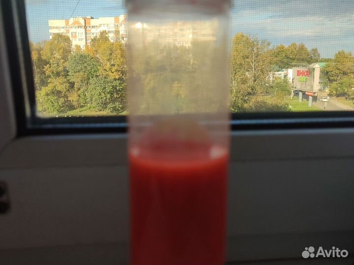 Слайм-лизун