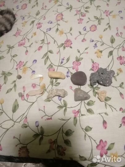 Камни с моря Азовского и чёрного