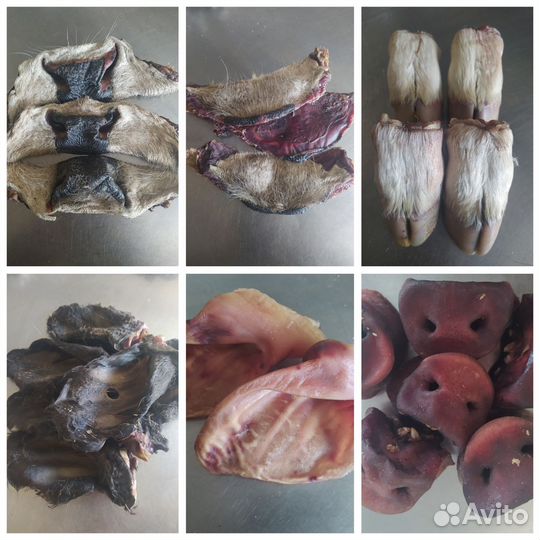 Сушеные лакомства для собак