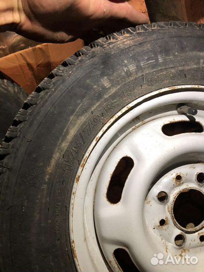 Amtel NordMaster 175/70 R13