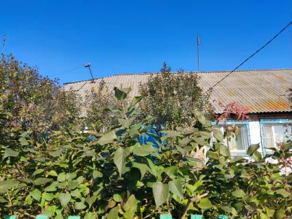 2-к. квартира, 66,5 м², 1/1 эт.