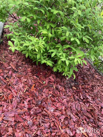 Мульча. Кора лиственницы от производителя, 60л/меш