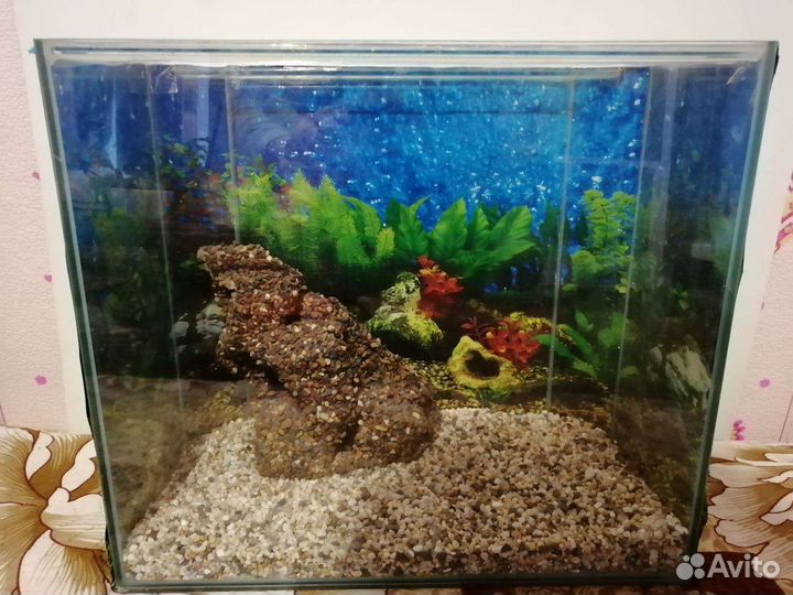 Аквариум панорамный