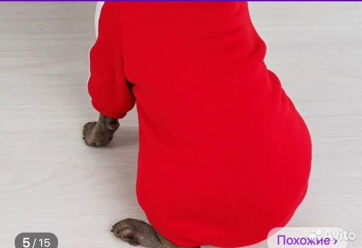 Одежда для собак