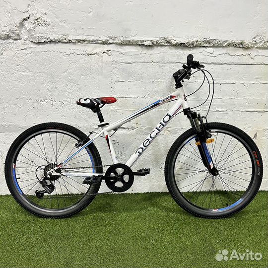 Десна метеор 24