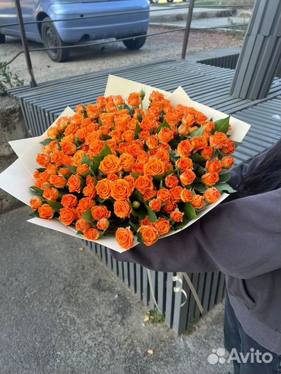 35 роз кустовые