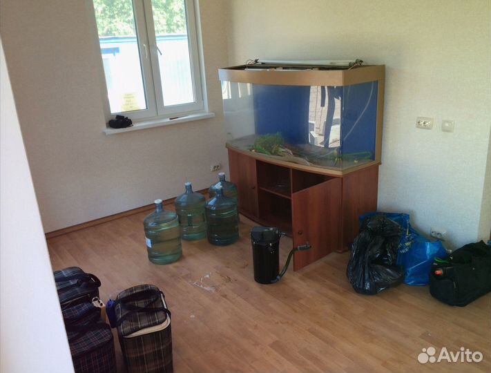 Перевозка аквариума с рыбками