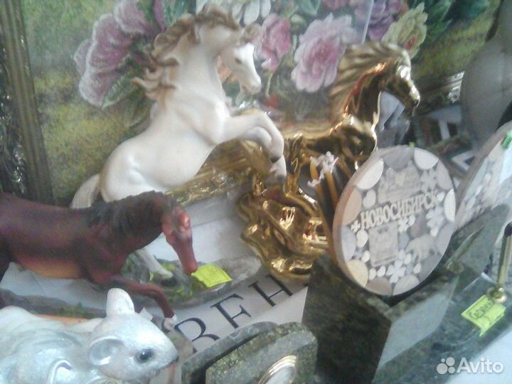 Тигры и,магниты,новосибир