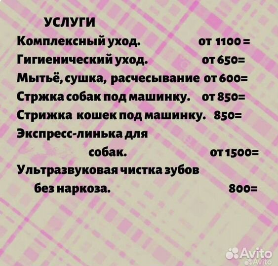 Стрижка собак и кошек