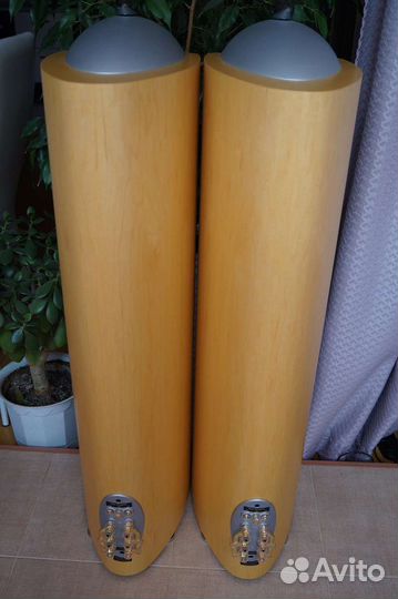 Комплект акустики KEF Reference 203 и 202c