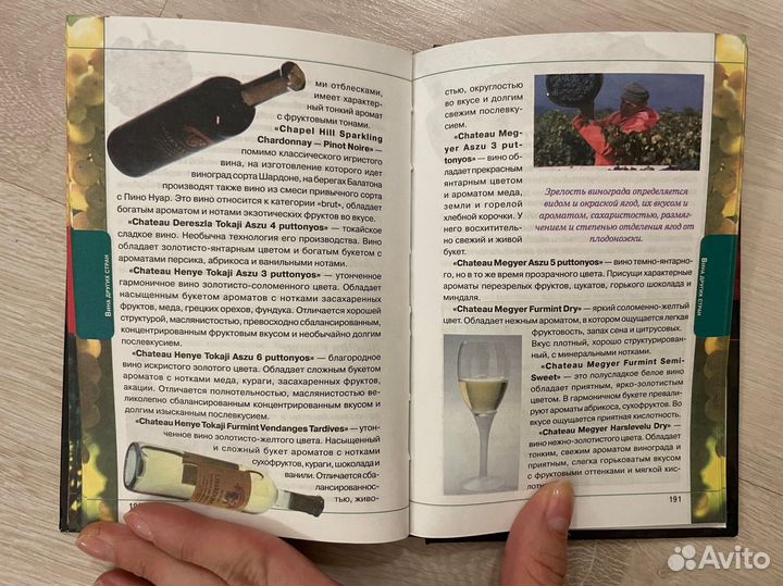 Вино. Страны и регионы производства. Книга