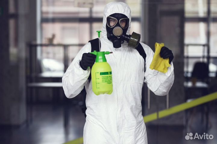 Уничтожение тараканов, травить клопов. Дезинфекция