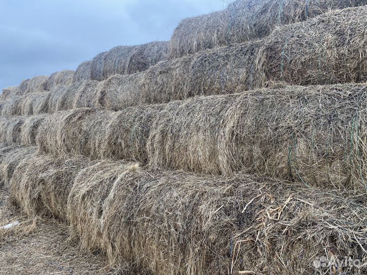 Сено в рулонах с доставкой