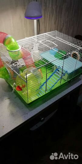 Клетка для грызунов большая