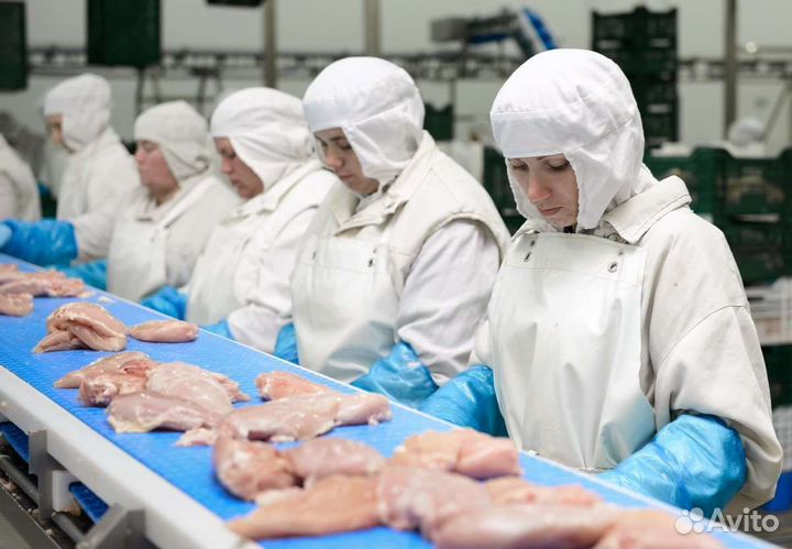 Упаковка индейки Вахта 15 смен питание/прож Пенза