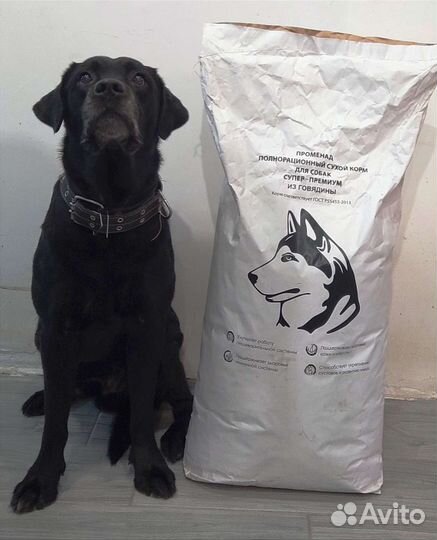 Корм супер премиум класса Promenad для собак