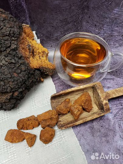 Березовый гриб чага сухая очищенная