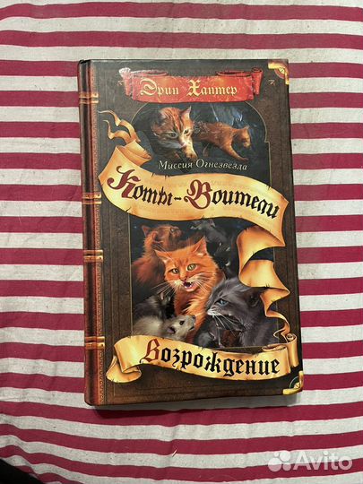 Коты воители