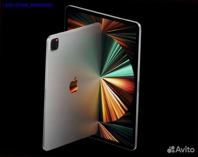 iPad pro 11 Модель 2024 года