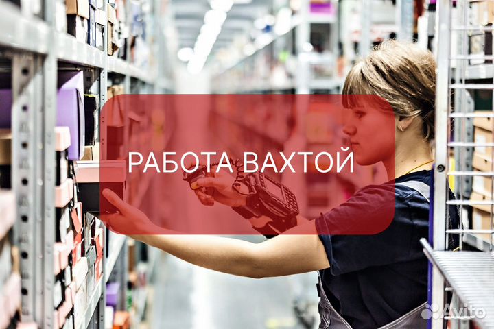 Сортировщик