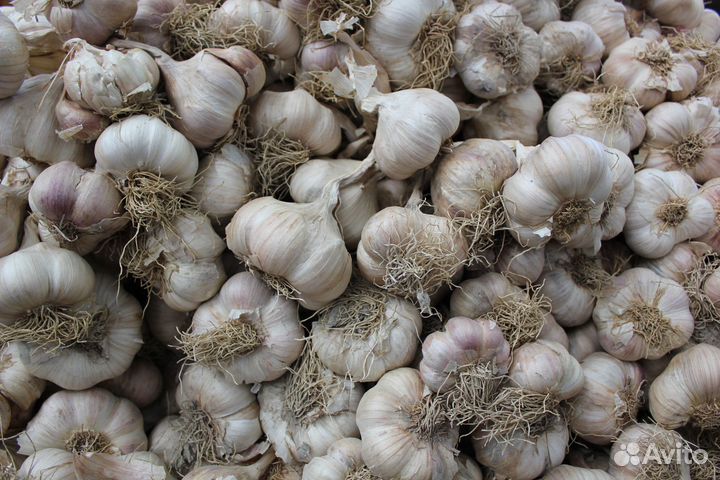 Продукты питания