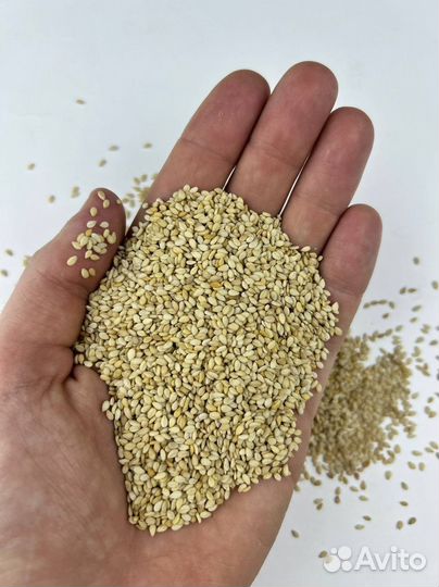 Семена кунжута