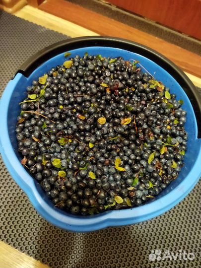 Ягоды черника