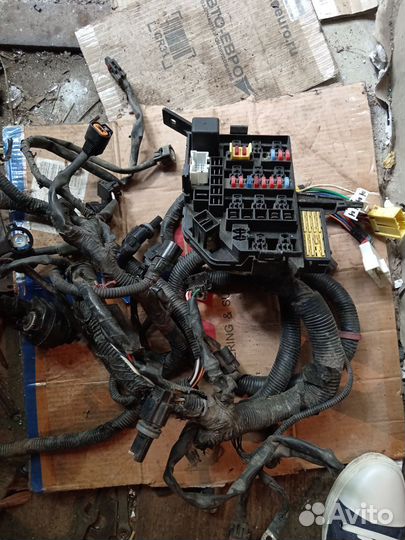 Проводка подкапотная Hyundai Accent 2 (LC) LC 2008