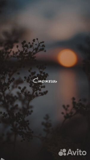 Выход на Wildberries, ozon, ям, обучение, аудит